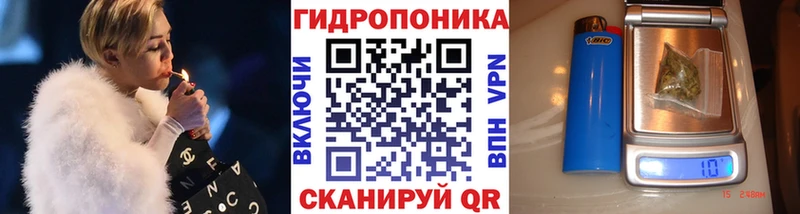 Шишки марихуана план  Купить  Тосно 